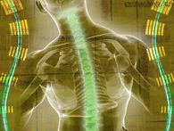 Curso online/E-book deTécnicas Posturais