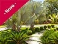 Curso online/E-book deComo Elaborar Projetos de Paisagismo