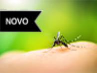 Curso online/E-book deDengue - Prevenção e Diagnóstico Laboratorial