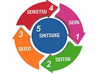 Curso online/E-book deMetodologia 5S